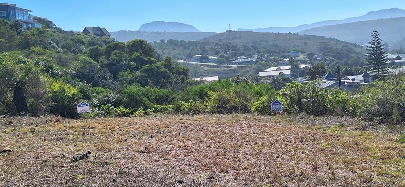 0 Bedroom Property for Sale in Groot Brakrivier Central Western Cape